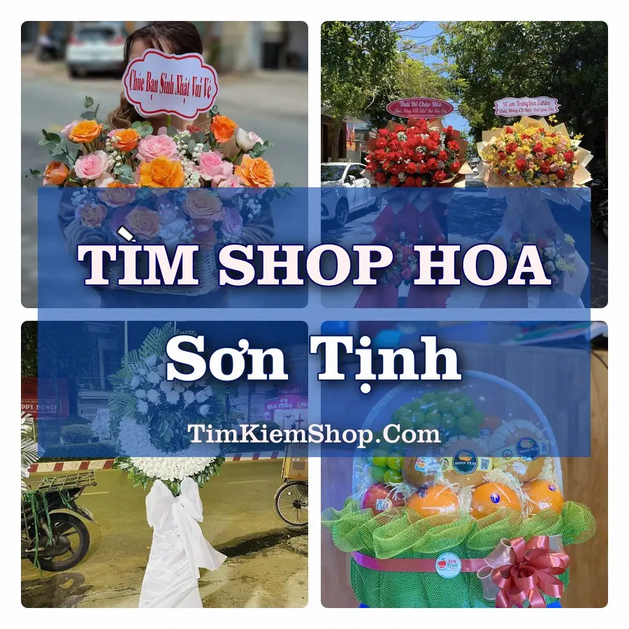 Tìm Shop Hoa Tươi Tại Xã Sơn Tịnh Quảng Ngãi