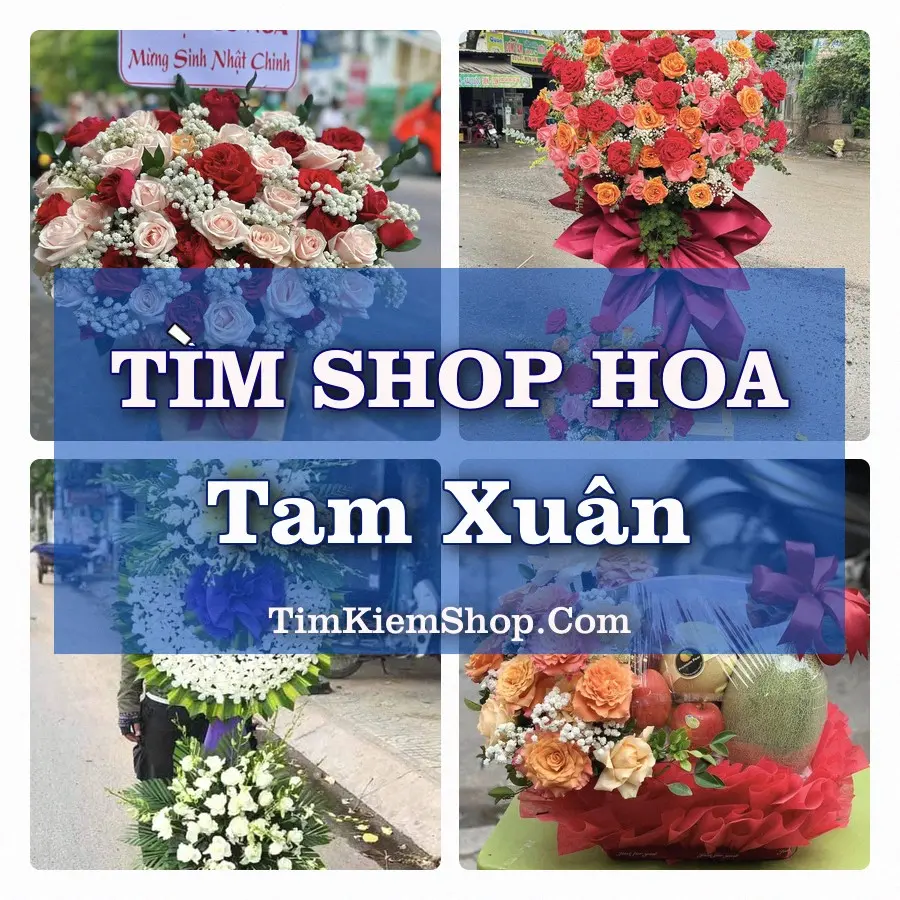 Tìm Shop Hoa Tươi Tại Xã Tam Xuân Đà Nẵng