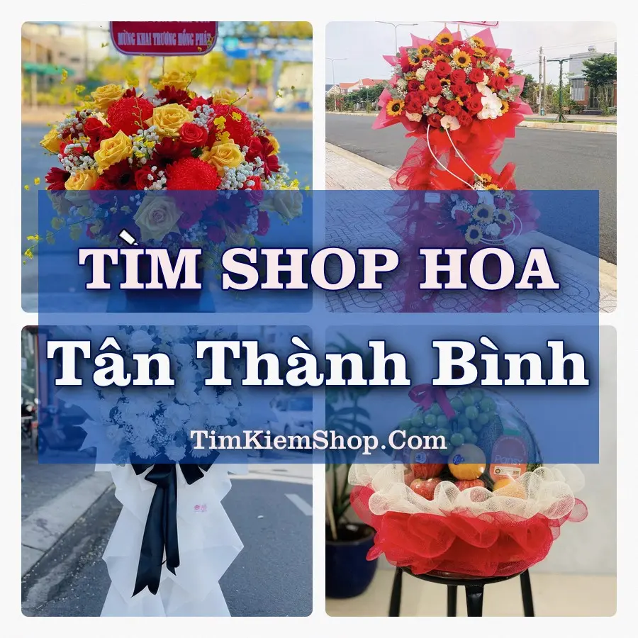 Tìm Shop Hoa Tươi Tại Xã Tân Thành Bình Vĩnh Long