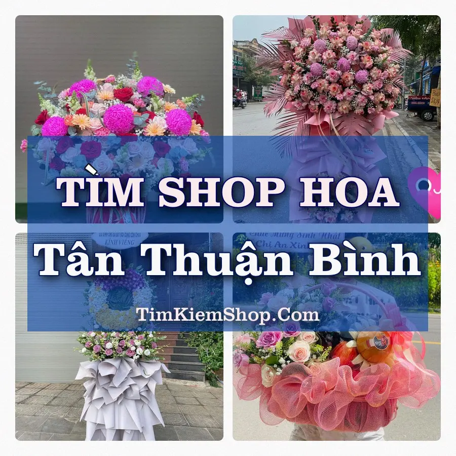 Tìm Shop Hoa Tươi Tại Xã Tân Thuận Bình Đồng Tháp