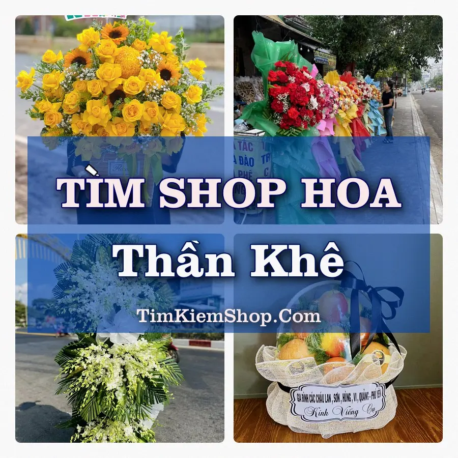 Tìm Shop Hoa Tươi Tại Xã Thần Khê Hưng Yên