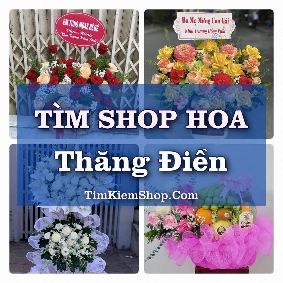 Tìm Shop Hoa Tươi Tại Xã Thăng Điền Đà Nẵng