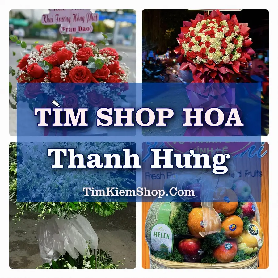 Tìm Shop Hoa Tươi Tại Xã Thanh Hưng Đồng Tháp