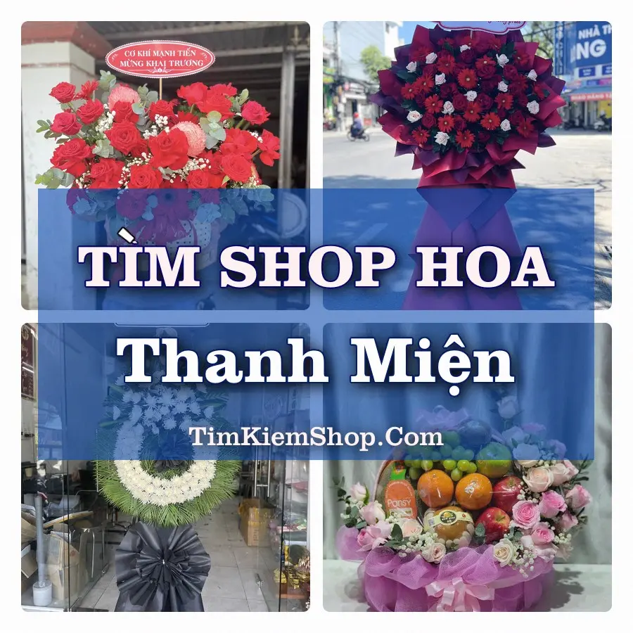 Tìm Shop Hoa Tươi Tại Xã Thanh Miện Hải Phòng