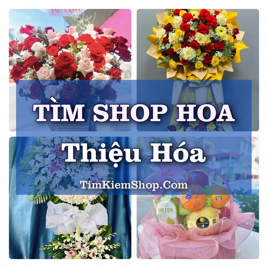 Tìm Shop Hoa Tươi Tại Xã Thiệu Hóa Thanh Hóa