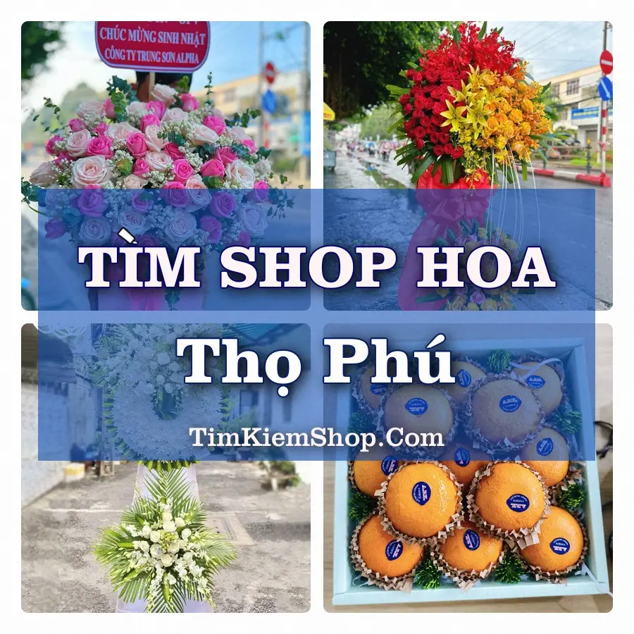 Tìm Shop Hoa Tươi Tại Xã Thọ Phú Thanh Hóa