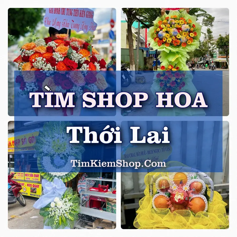 Tìm Shop Hoa Tươi Tại Xã Thới Lai Cần Thơ