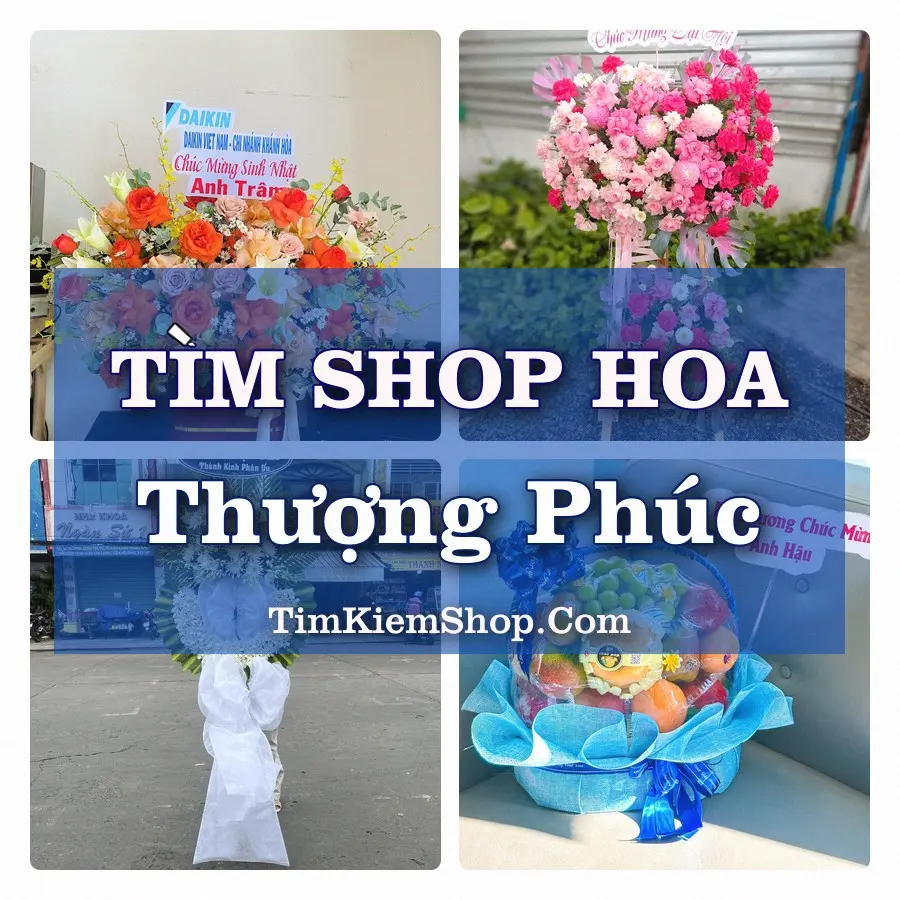 Tìm Shop Hoa Tươi Tại Xã Thượng Phúc Hà Nội