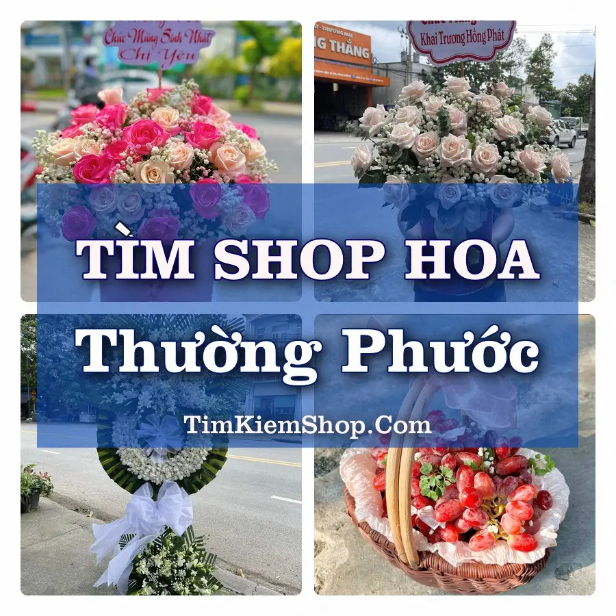 Tìm Shop Hoa Tươi Tại Xã Thường Phước Đồng Tháp
