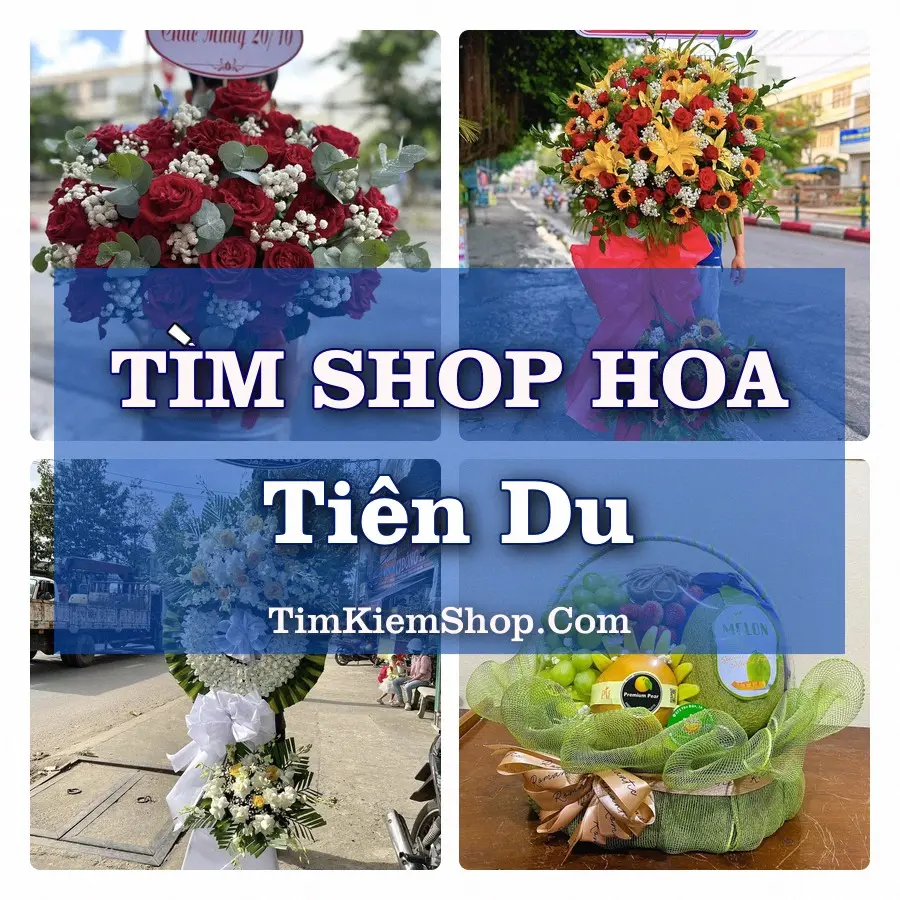 Tìm Shop Hoa Tươi Tại Xã Tiên Du Bắc Ninh
