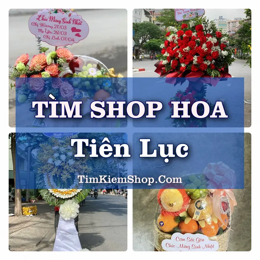 Tìm Shop Hoa Tươi Tại Xã Tiên Lục Bắc Ninh