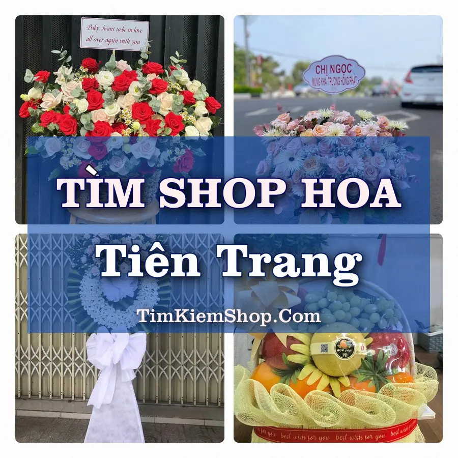 Tìm Shop Hoa Tươi Tại Xã Tiên Trang Thanh Hóa