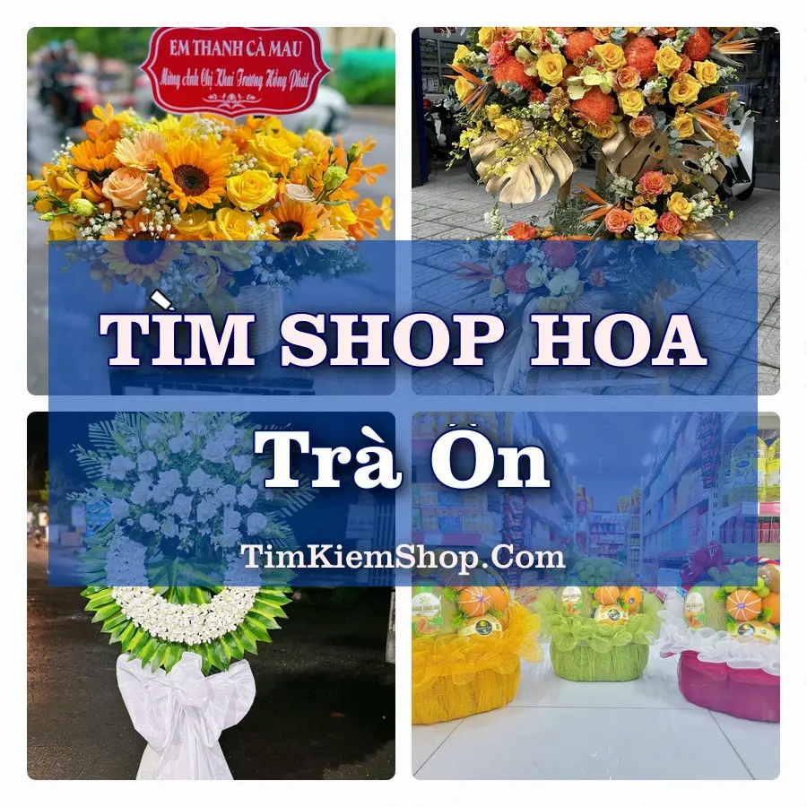 Tìm Shop Hoa Tươi Tại Xã Trà Ôn Vĩnh Long