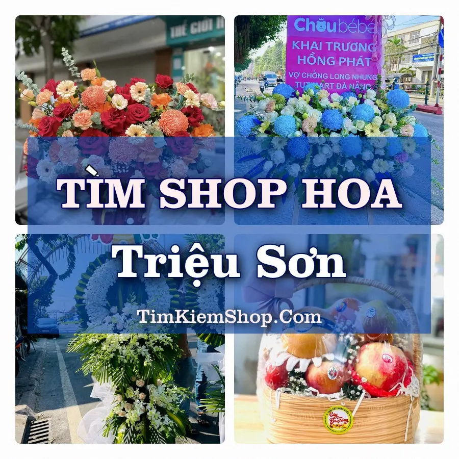Tìm Shop Hoa Tươi Tại Xã Triệu Sơn Thanh Hóa