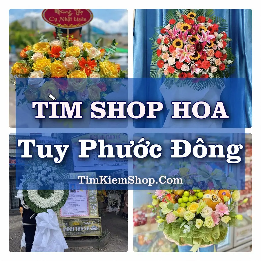 Tìm Shop Hoa Tươi Tại Xã Tuy Phước Đông Gia Lai