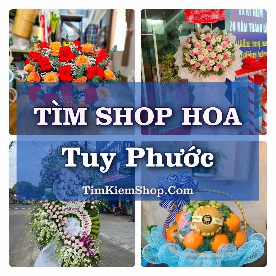 Tìm Shop Hoa Tươi Tại Xã Tuy Phước Gia Lai