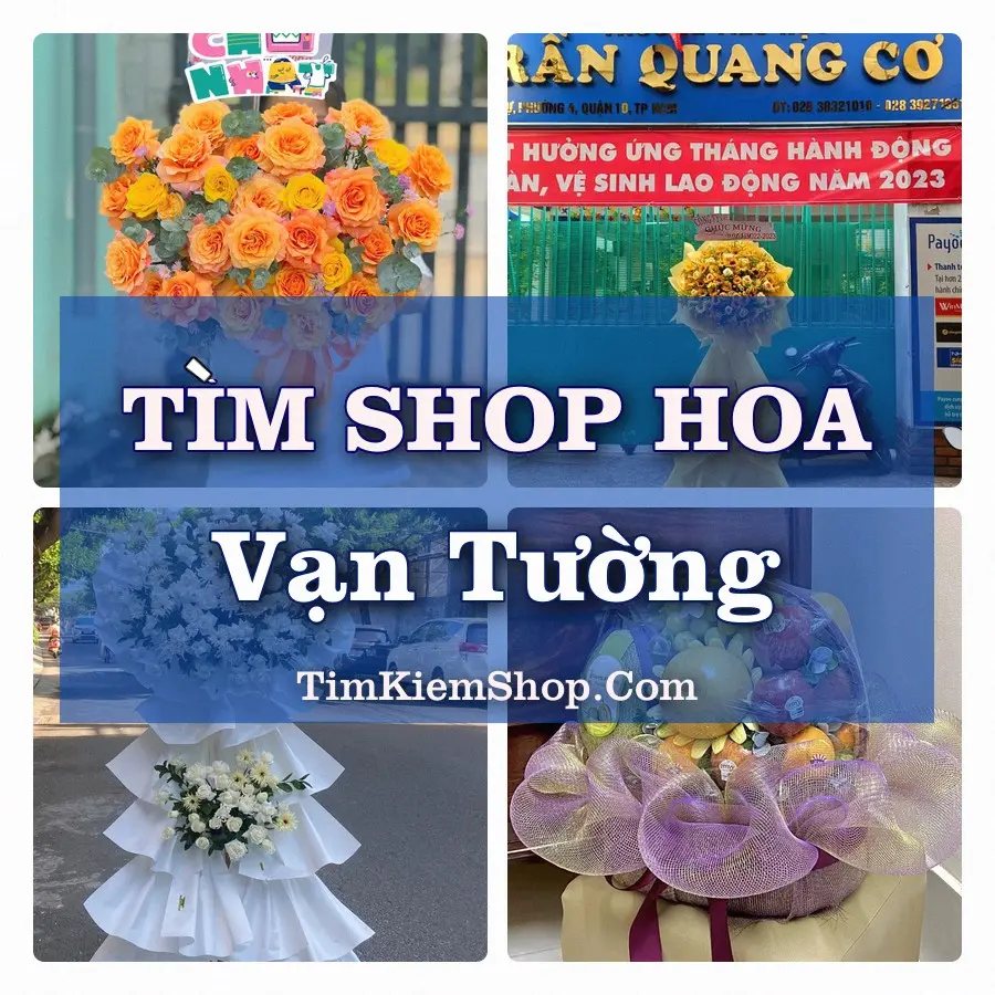 Tìm Shop Hoa Tươi Tại Xã Vạn Tường Quảng Ngãi