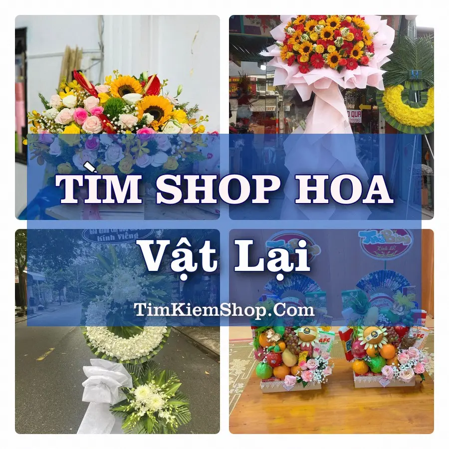 Tìm Shop Hoa Tươi Tại Xã Vật Lại Hà Nội