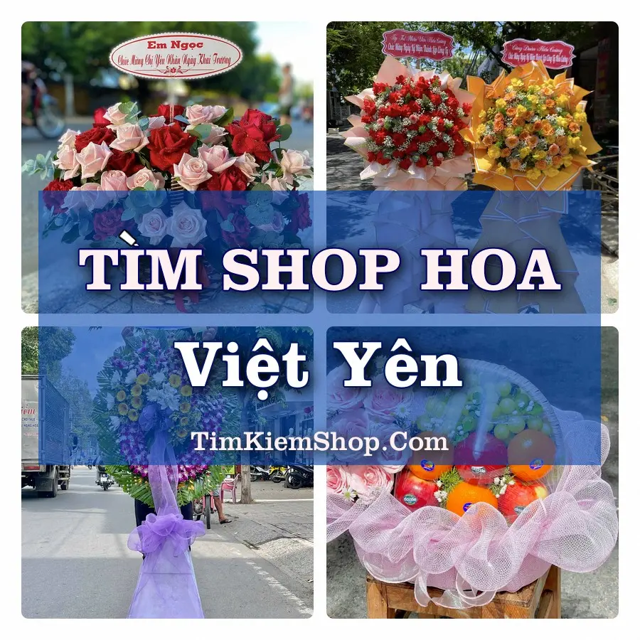 Tìm Shop Hoa Tươi Tại Xã Việt Yên Hưng Yên