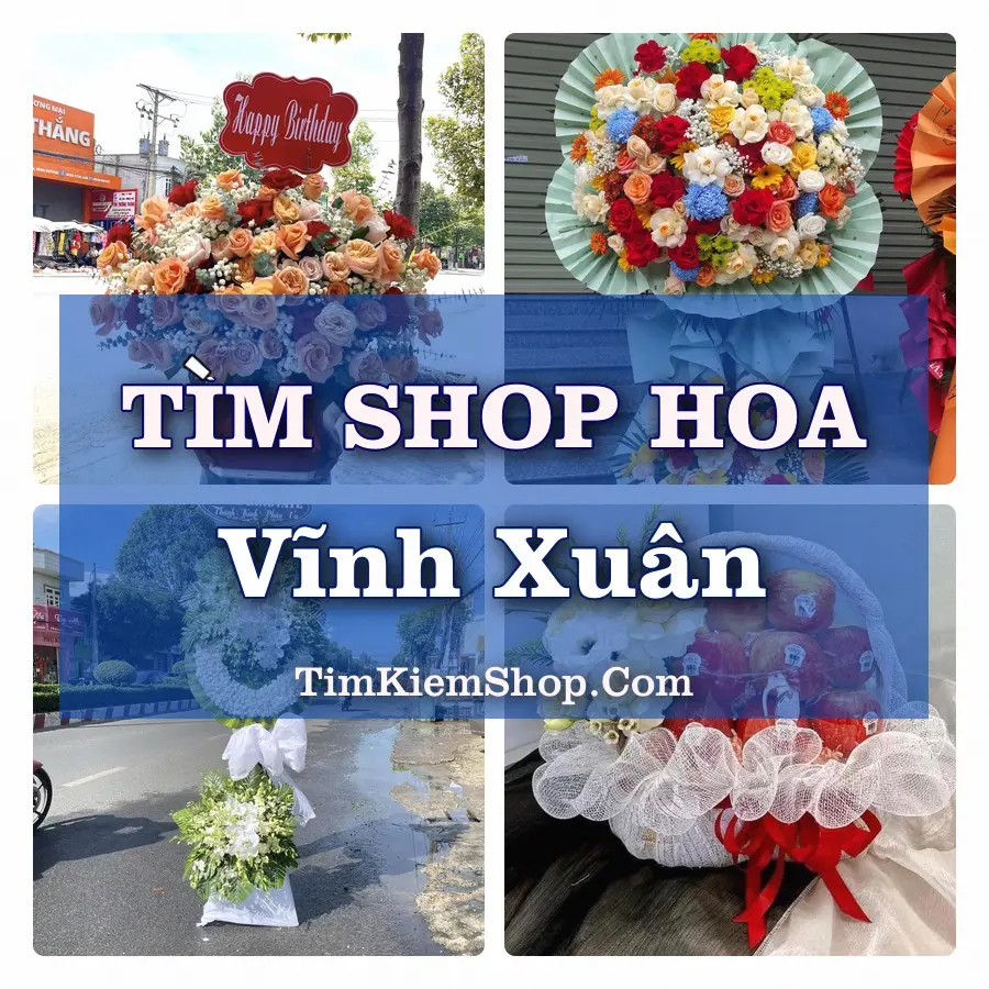 Tìm Shop Hoa Tươi Tại Xã Vĩnh Xuân Vĩnh Long
