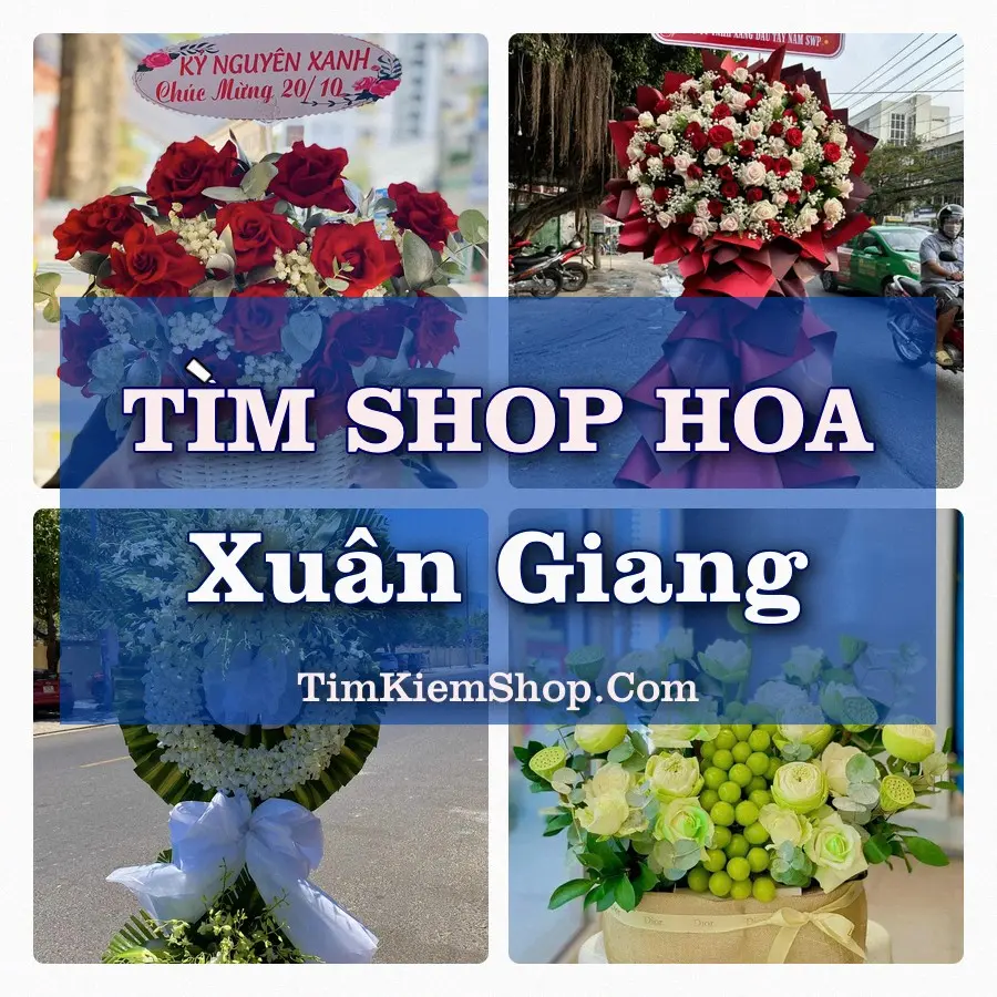 Tìm Shop Hoa Tươi Tại Xã Xuân Giang Ninh Bình