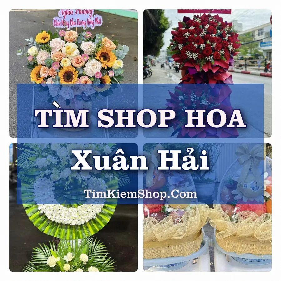 Tìm Shop Hoa Tươi Tại Xã Xuân Hải Khánh Hòa