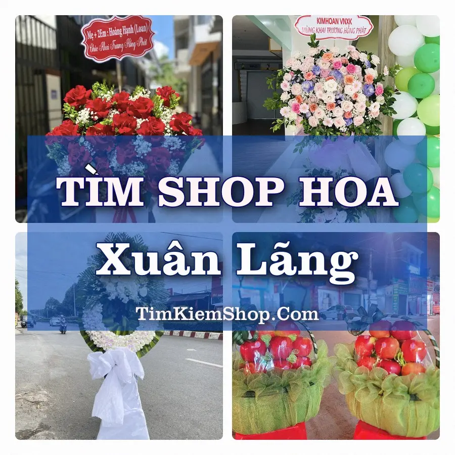 Tìm Shop Hoa Tươi Tại Xã Xuân Lãng Phú Thọ