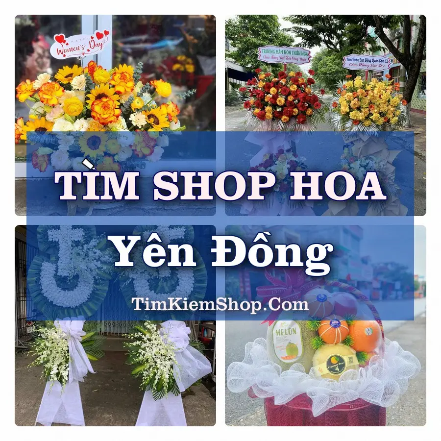 Tìm Shop Hoa Tươi Tại Xã Yên Đồng Ninh Bình