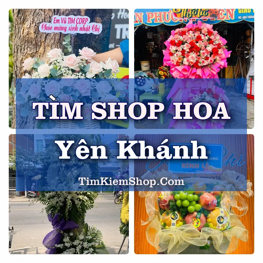 Tìm Shop Hoa Tươi Tại Xã Yên Khánh Ninh Bình
