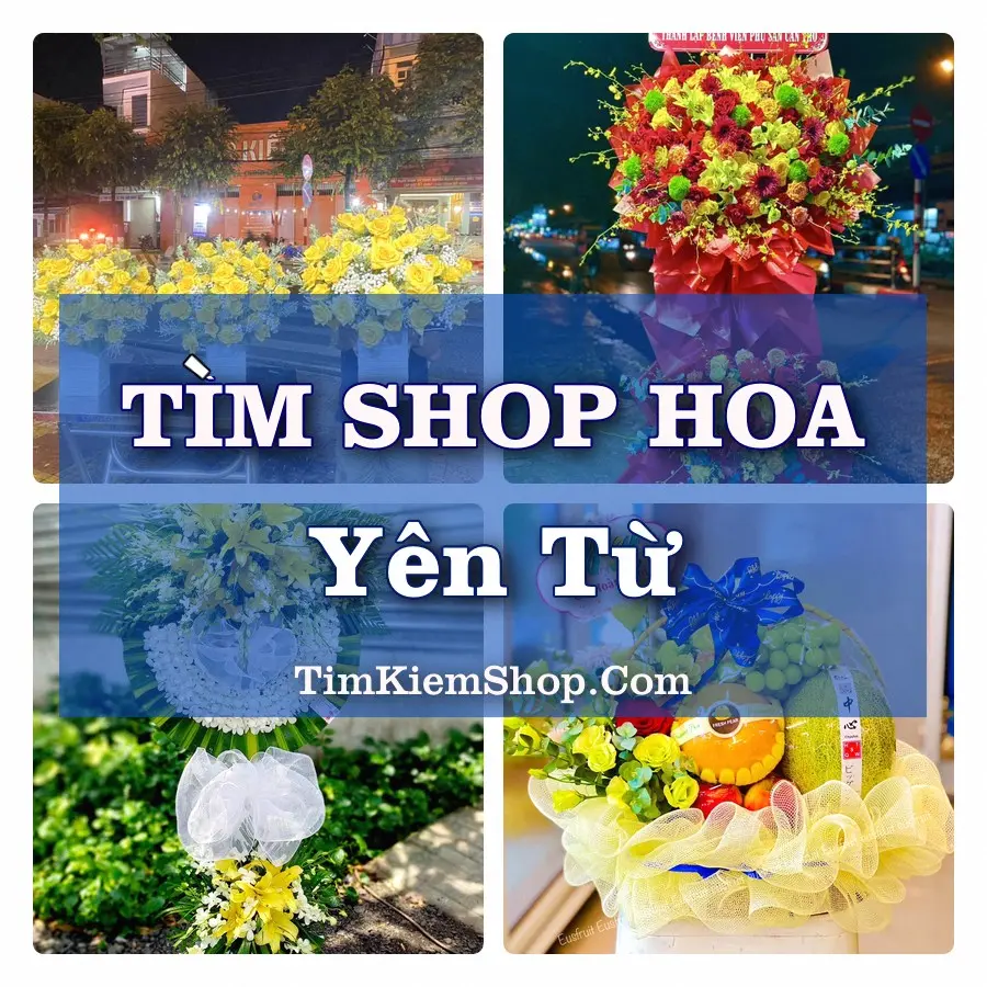 Tìm Shop Hoa Tươi Tại Xã Yên Từ Ninh Bình
