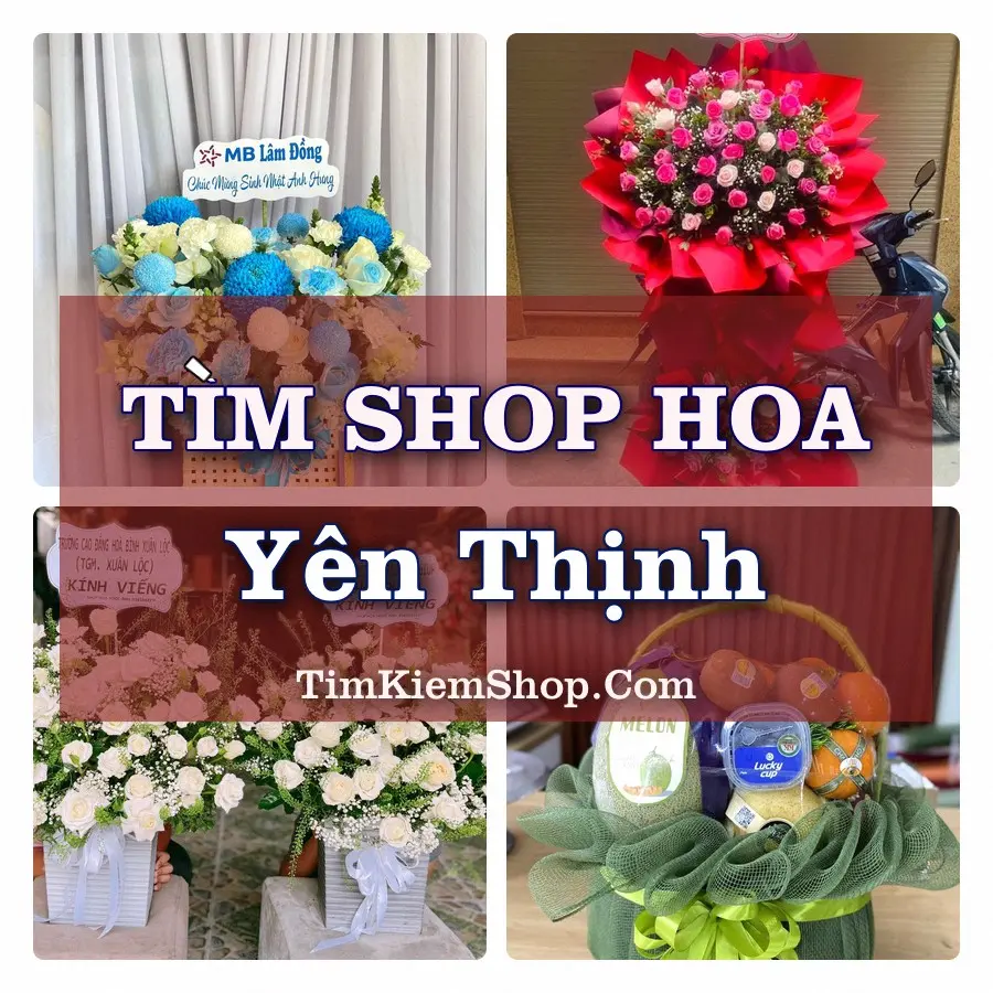 Tìm Shop Hoa Tươi tại Yên Thịnh, Tỉnh Ninh Bình