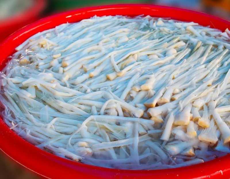 Dưa bồn bồn Sóc Trăng