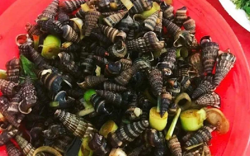 Bưởi tiến vua