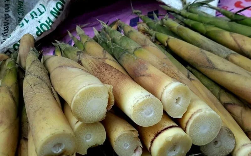 Cháo canh