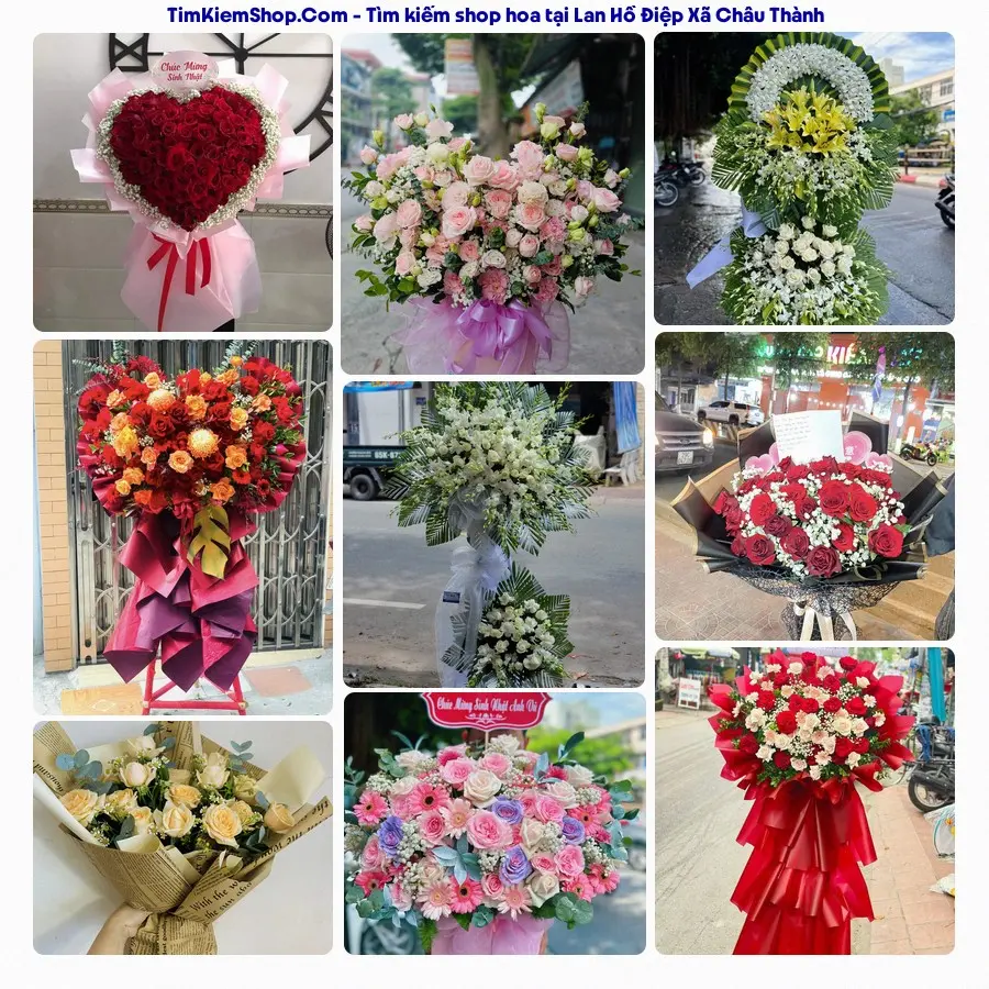 Tiệm Hoa Nhà Gạo - Shop Hoa Xã Châu Thành