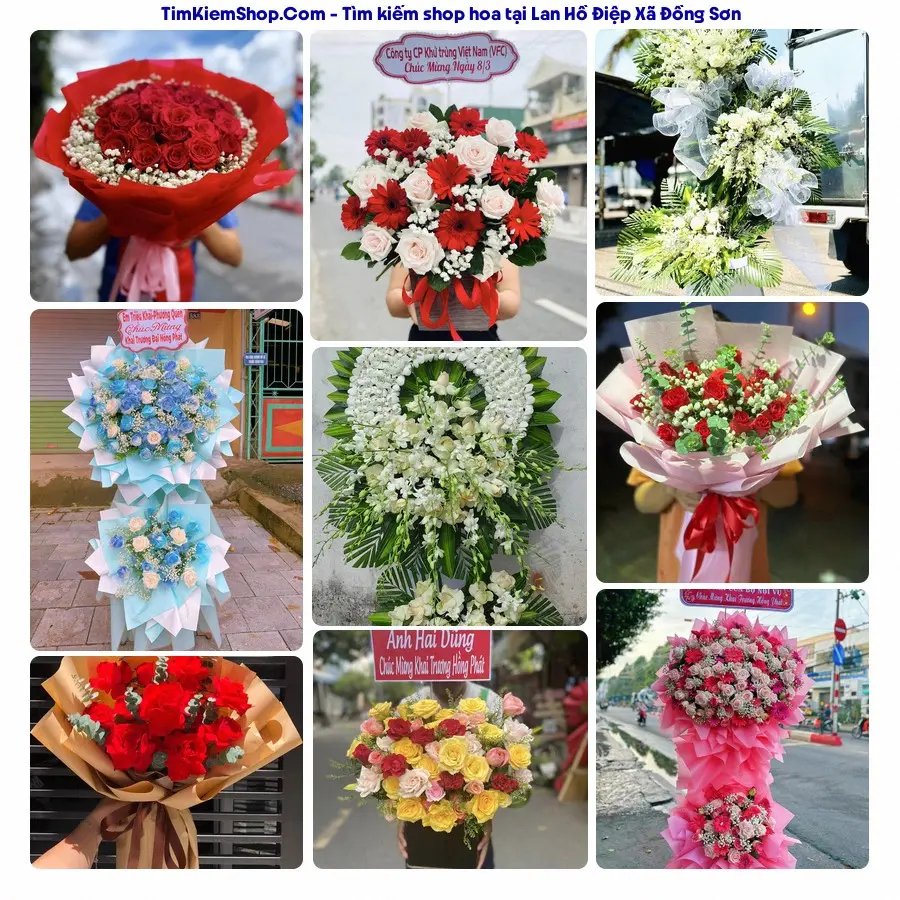 Tiệm Hoa Nhà Gạo - Shop Hoa Xã Đồng Sơn