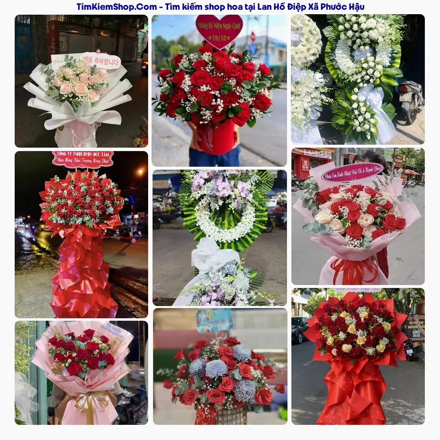 Tiệm Hoa Nhà Gạo - Shop Hoa Xã Phước Hậu