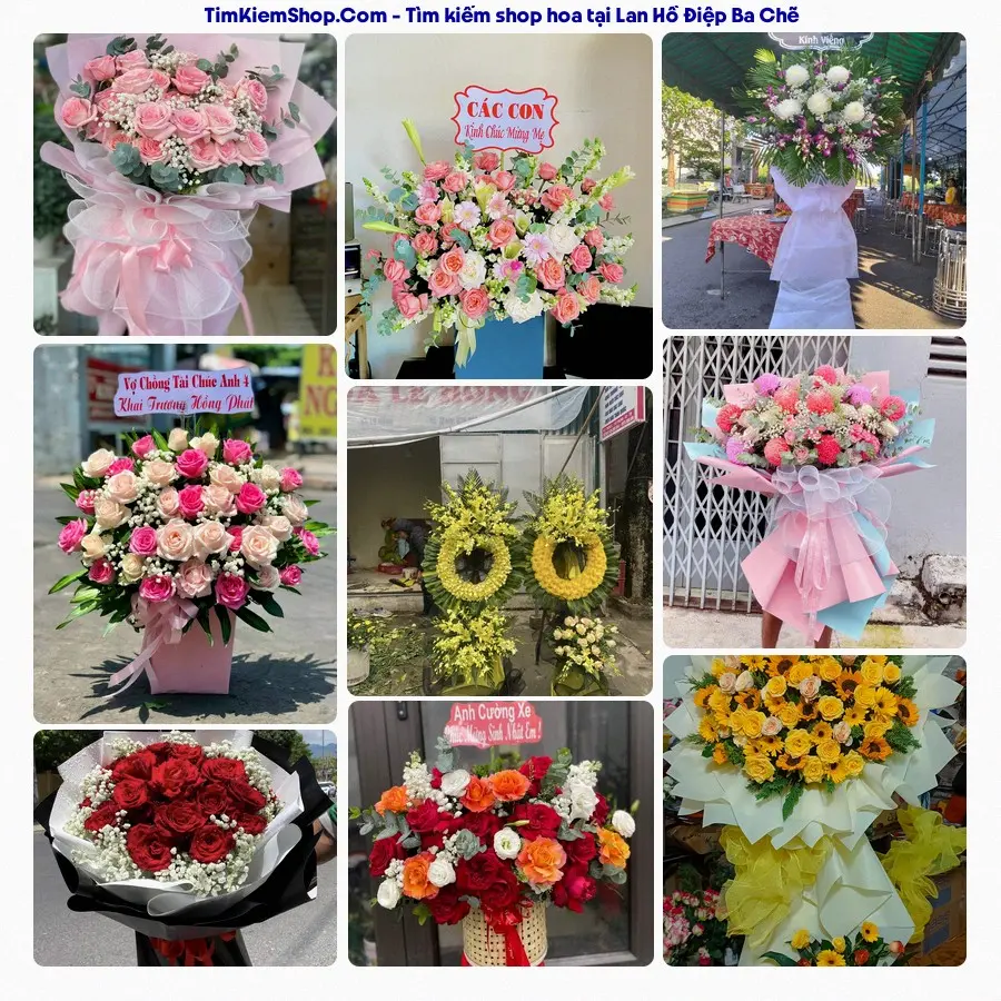 Tiệm Hoa Nhà Gạo - Tiệm Hoa Ba Chẽ