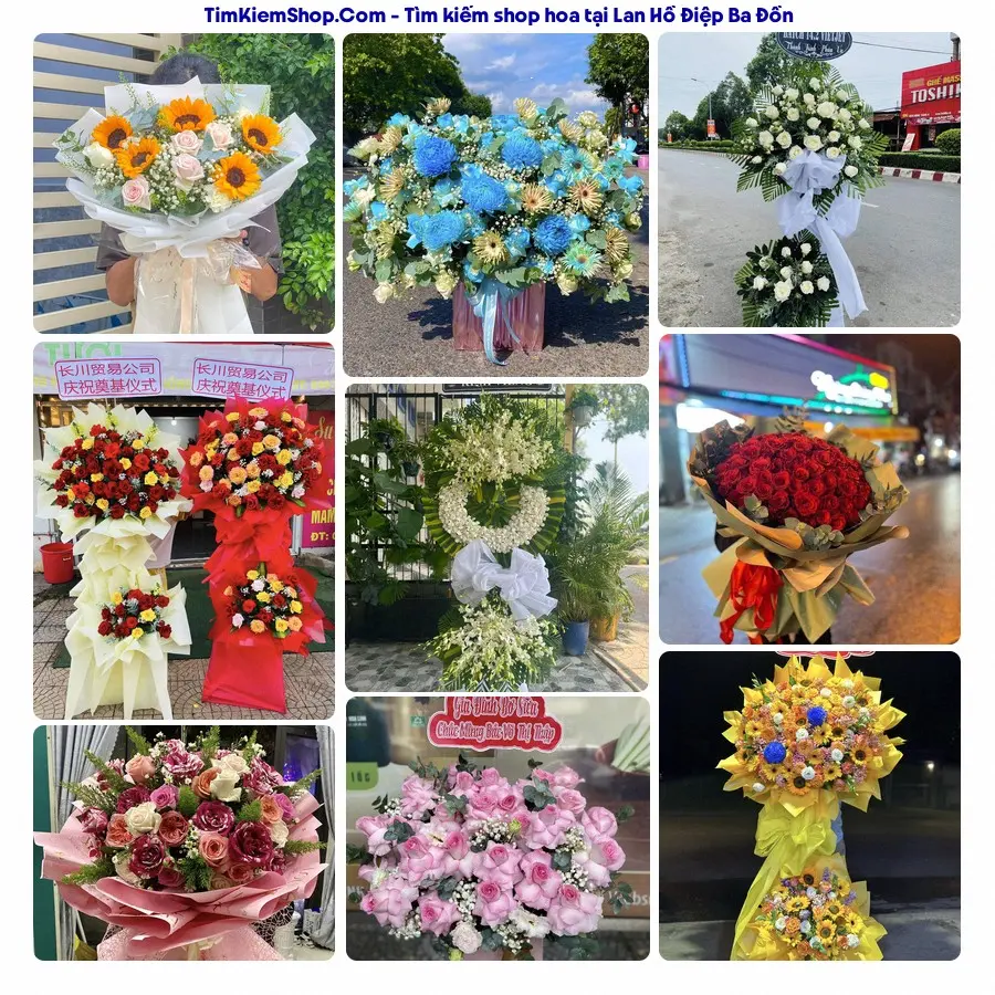 Tiệm Hoa Nhà Gạo - Tiệm Hoa Ba Đồn