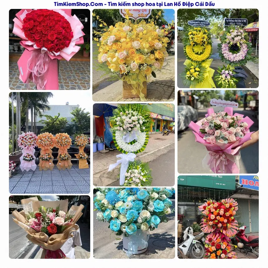 Tiệm Hoa Nhà Gạo - Tiệm Hoa Cái Dầu