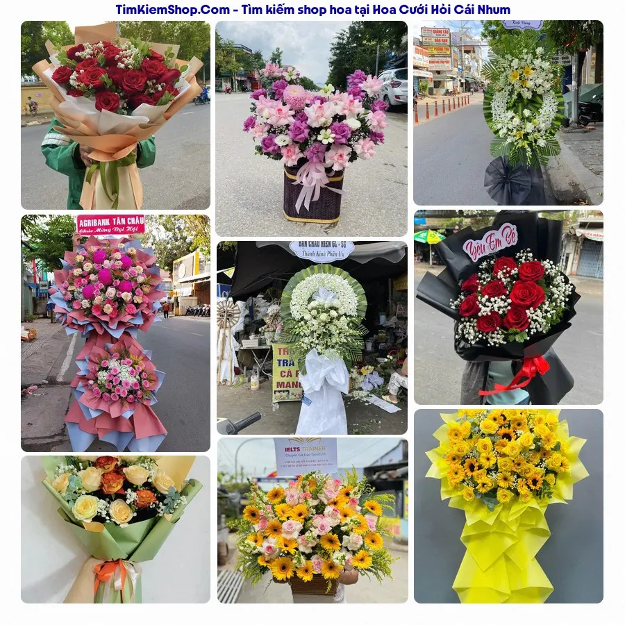 Tiệm Hoa Nhà Gạo - Tiệm Hoa Cái Nhum