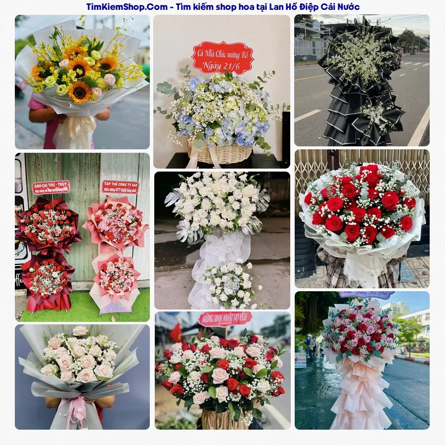 Tiệm Hoa Nhà Gạo - Tiệm Hoa Cái Nước