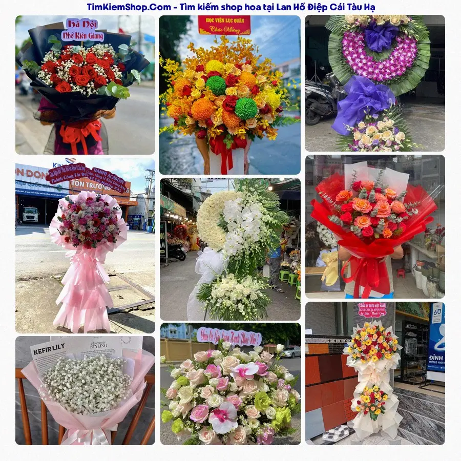 Tiệm Hoa Nhà Gạo - Tiệm Hoa Cái Tàu Hạ