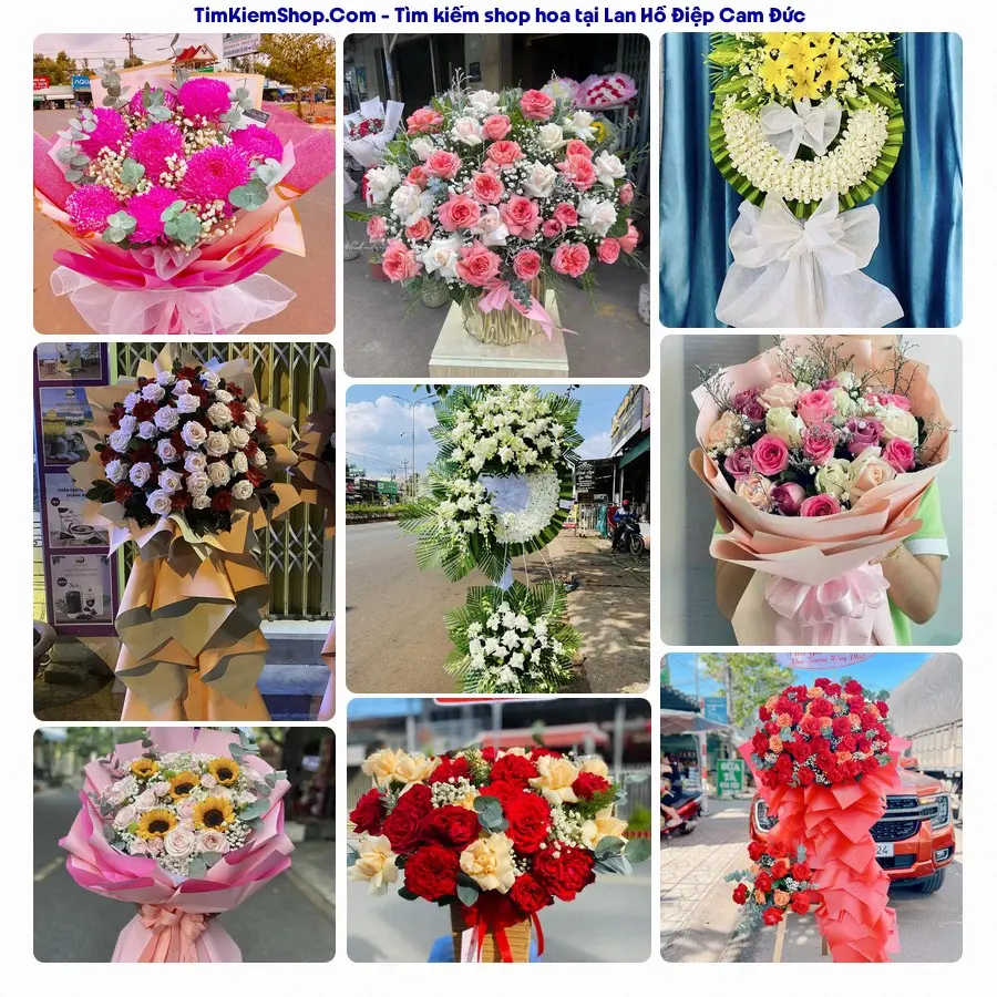 Tiệm Hoa Nhà Gạo - Tiệm Hoa Cam Đức