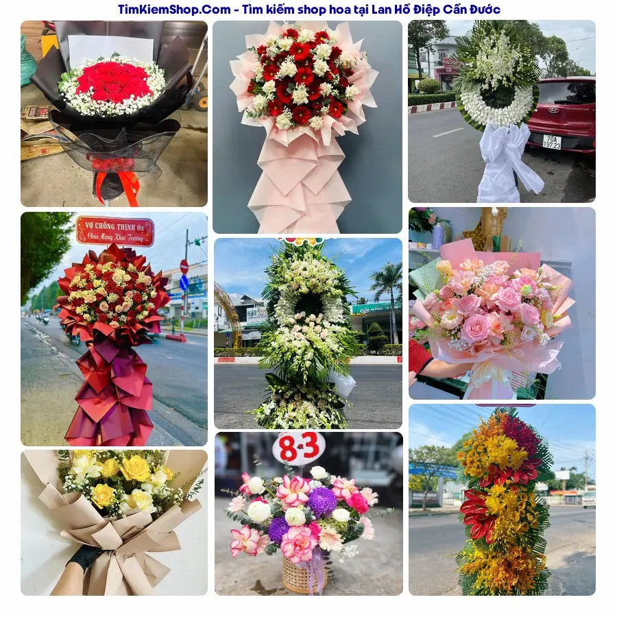 Tiệm Hoa Nhà Gạo - Tiệm Hoa Cần Đước