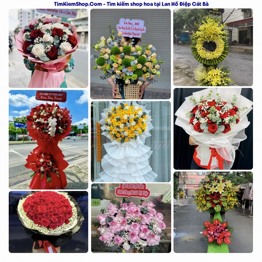 Tiệm Hoa Nhà Gạo - Tiệm Hoa Cát Bà
