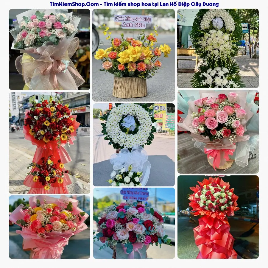 Tiệm Hoa Nhà Gạo - Tiệm Hoa Cây Dương