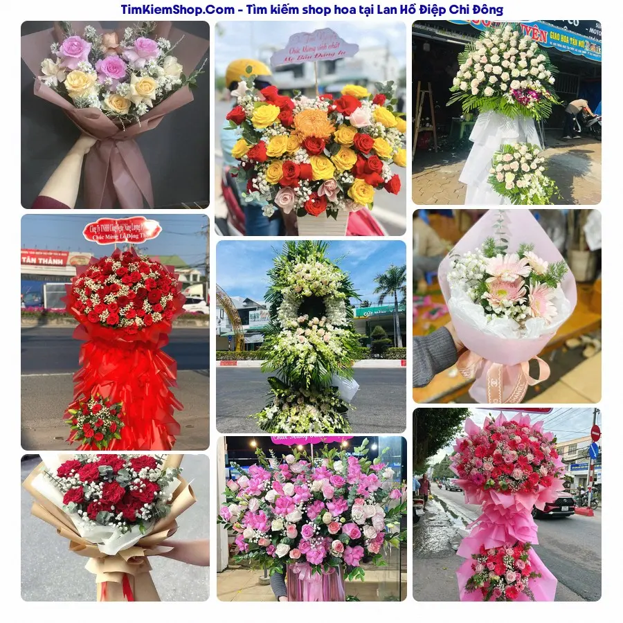 Tiệm Hoa Nhà Gạo - Tiệm Hoa Chi Đông