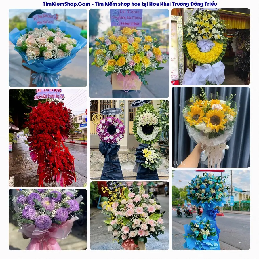 Tiệm Hoa Nhà Gạo - Tiệm Hoa Đông Triều