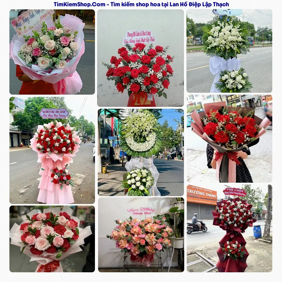 Tiệm Hoa Nhà Gạo - Tiệm Hoa Lập Thạch
